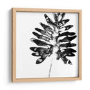 Monocromo Tropic Iii - June Erica Vess | Cuadro decorativo de Canvas Lab