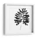 Monocromo Tropic Iii - June Erica Vess | Cuadro decorativo de Canvas Lab