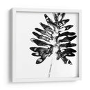 Monocromo Tropic Iii - June Erica Vess | Cuadro decorativo de Canvas Lab