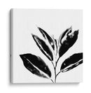 Monocromo Tropic Iv - June Erica Vess | Cuadro decorativo de Canvas Lab