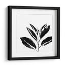Monocromo Tropic Iv - June Erica Vess | Cuadro decorativo de Canvas Lab