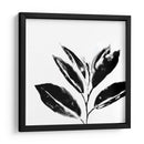 Monocromo Tropic Iv - June Erica Vess | Cuadro decorativo de Canvas Lab
