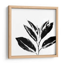 Monocromo Tropic Iv - June Erica Vess | Cuadro decorativo de Canvas Lab