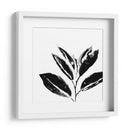 Monocromo Tropic Iv - June Erica Vess | Cuadro decorativo de Canvas Lab
