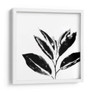 Monocromo Tropic Iv - June Erica Vess | Cuadro decorativo de Canvas Lab