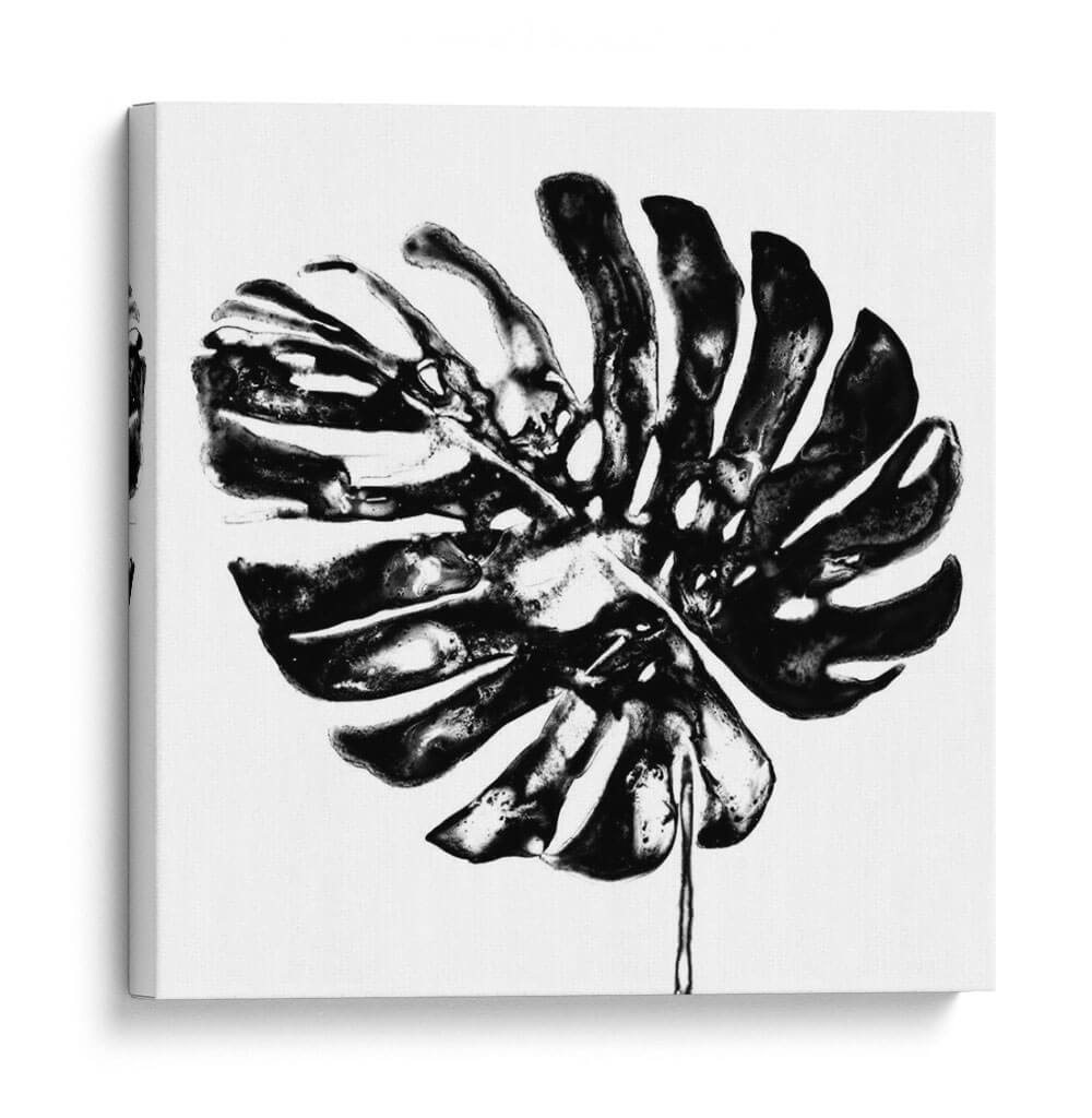 Monocromo Tropic V - June Erica Vess | Cuadro decorativo de Canvas Lab