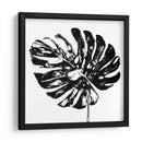 Monocromo Tropic V - June Erica Vess | Cuadro decorativo de Canvas Lab