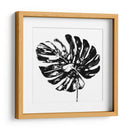 Monocromo Tropic V - June Erica Vess | Cuadro decorativo de Canvas Lab