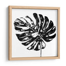 Monocromo Tropic V - June Erica Vess | Cuadro decorativo de Canvas Lab