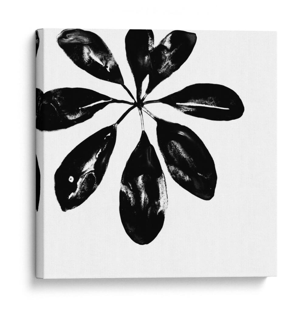 Monocromo Tropic Vi - June Erica Vess | Cuadro decorativo de Canvas Lab