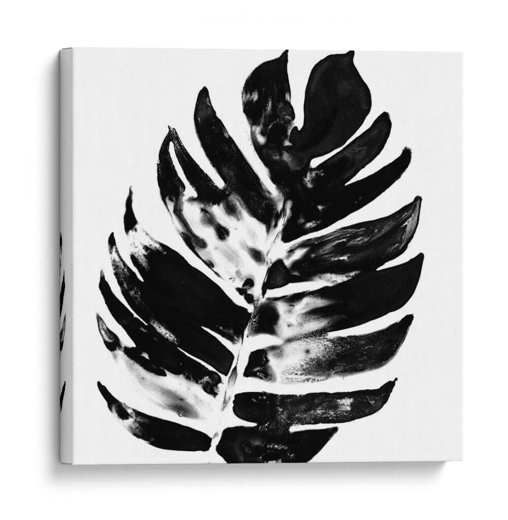 Monocromo Tropic Vii - June Erica Vess | Cuadro decorativo de Canvas Lab