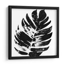 Monocromo Tropic Vii - June Erica Vess | Cuadro decorativo de Canvas Lab