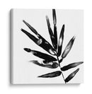 Monocromo Tropic Ix - June Erica Vess | Cuadro decorativo de Canvas Lab