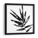 Monocromo Tropic Ix - June Erica Vess | Cuadro decorativo de Canvas Lab