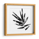 Monocromo Tropic Ix - June Erica Vess | Cuadro decorativo de Canvas Lab