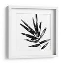Monocromo Tropic Ix - June Erica Vess | Cuadro decorativo de Canvas Lab
