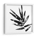 Monocromo Tropic Ix - June Erica Vess | Cuadro decorativo de Canvas Lab