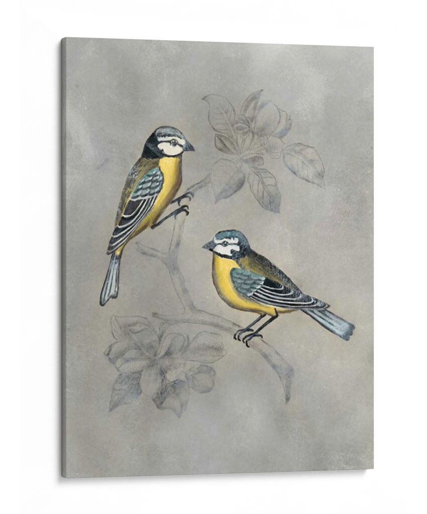 Aviario Plateado I - Naomi McCavitt | Cuadro decorativo de Canvas Lab