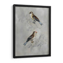 Aviary Plateado Ii - Naomi McCavitt | Cuadro decorativo de Canvas Lab