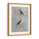 Aviary Plateado Ii - Naomi McCavitt | Cuadro decorativo de Canvas Lab