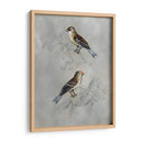 Aviary Plateado Ii - Naomi McCavitt | Cuadro decorativo de Canvas Lab
