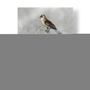 Aviary Plateado Ii - Naomi McCavitt | Cuadro decorativo de Canvas Lab