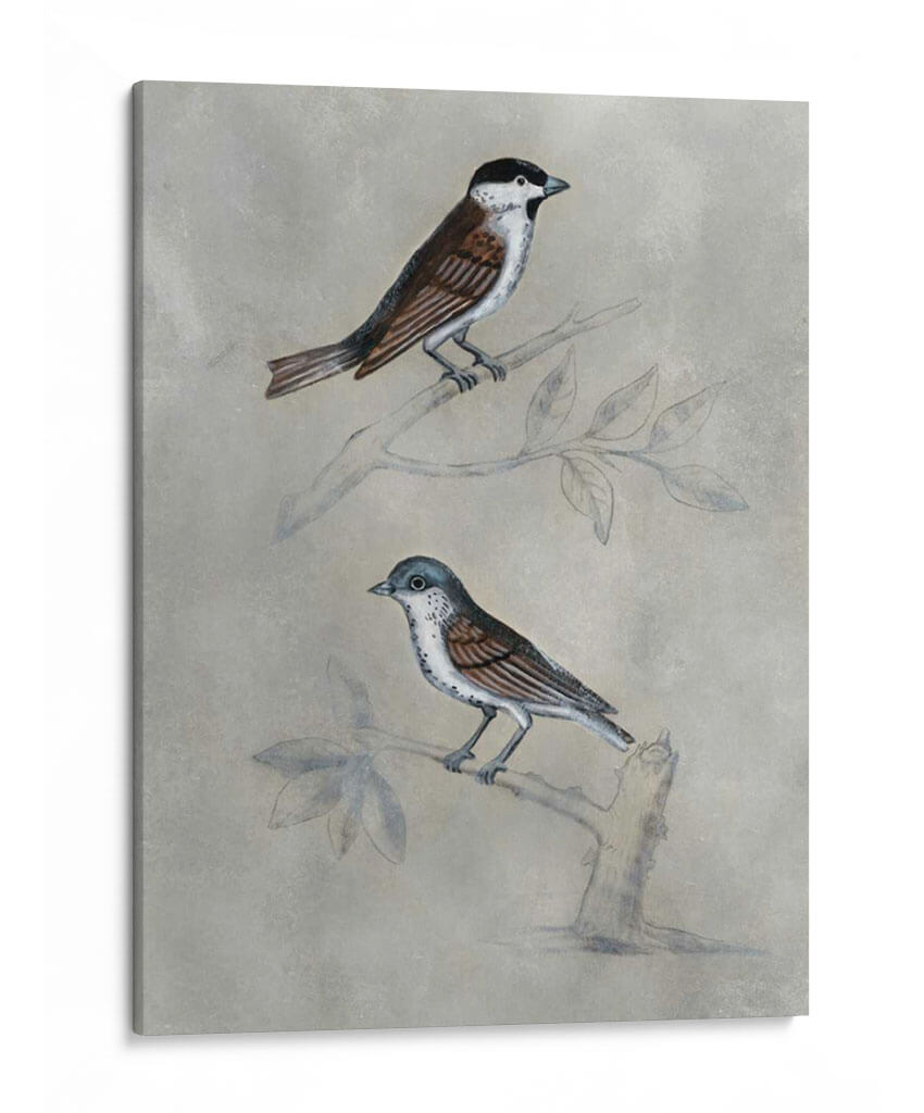 Aviario Plateado Iii - Naomi McCavitt | Cuadro decorativo de Canvas Lab