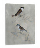 Aviario Plateado Iii - Naomi McCavitt | Cuadro decorativo de Canvas Lab