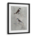 Aviario Plateado Iii - Naomi McCavitt | Cuadro decorativo de Canvas Lab