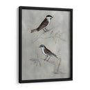 Aviario Plateado Iii - Naomi McCavitt | Cuadro decorativo de Canvas Lab