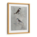 Aviario Plateado Iii - Naomi McCavitt | Cuadro decorativo de Canvas Lab
