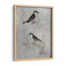 Aviario Plateado Iii - Naomi McCavitt | Cuadro decorativo de Canvas Lab