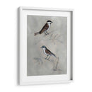 Aviario Plateado Iii - Naomi McCavitt | Cuadro decorativo de Canvas Lab