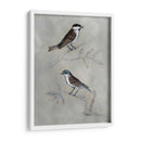 Aviario Plateado Iii - Naomi McCavitt | Cuadro decorativo de Canvas Lab