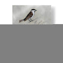 Aviario Plateado Iii - Naomi McCavitt | Cuadro decorativo de Canvas Lab