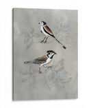 Aviaria Plateada Iv - Naomi McCavitt | Cuadro decorativo de Canvas Lab