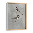 Aviaria Plateada Iv - Naomi McCavitt | Cuadro decorativo de Canvas Lab