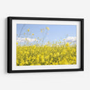 Alegría amarilla | Cuadro decorativo de Canvas Lab