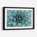 Acercamiento a suculenta | Cuadro decorativo de Canvas Lab