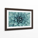 Acercamiento a suculenta | Cuadro decorativo de Canvas Lab