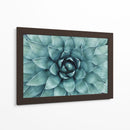 Acercamiento a suculenta | Cuadro decorativo de Canvas Lab