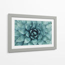 Acercamiento a suculenta | Cuadro decorativo de Canvas Lab
