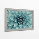 Acercamiento a suculenta | Cuadro decorativo de Canvas Lab