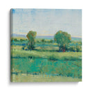 Pradera De Primavera I - Tim OToole | Cuadro decorativo de Canvas Lab