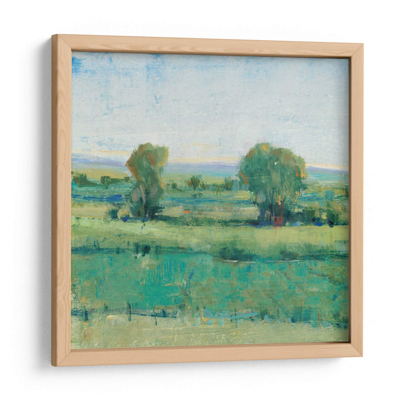 Pradera De Primavera I - Tim OToole | Cuadro decorativo de Canvas Lab