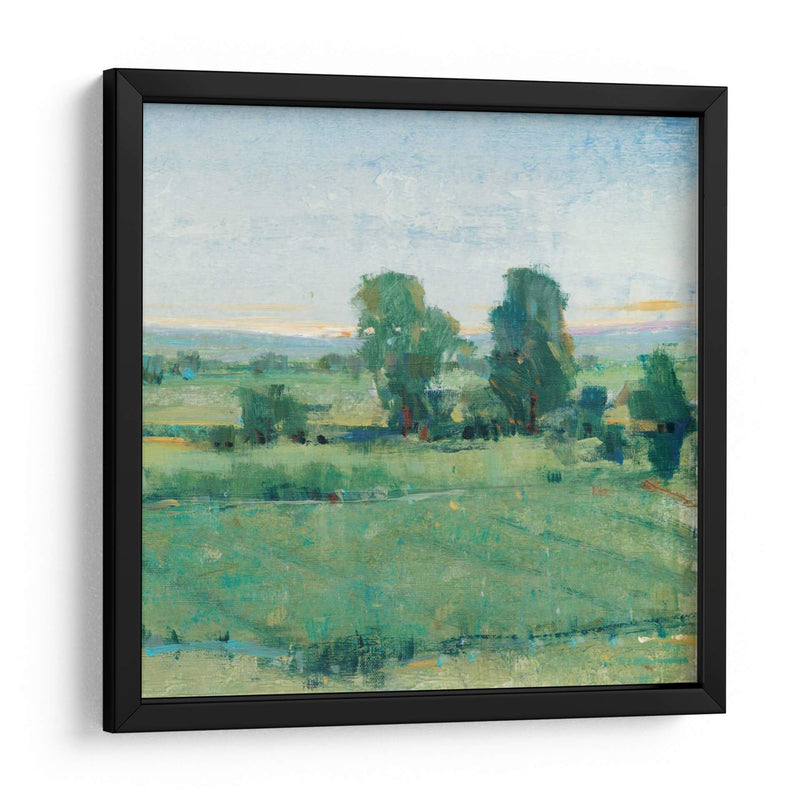 Primavera Meadow Ii - Tim OToole | Cuadro decorativo de Canvas Lab