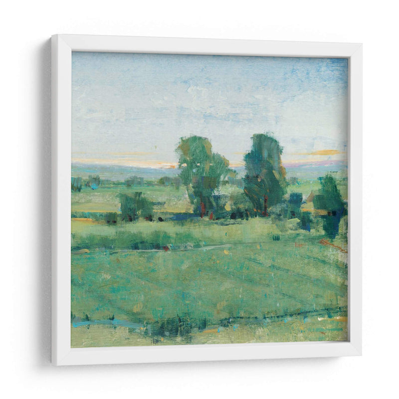 Primavera Meadow Ii - Tim OToole | Cuadro decorativo de Canvas Lab