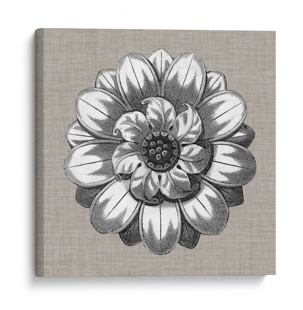Detalle Neutral Rosette Iv - Vision Studio | Cuadro decorativo de Canvas Lab
