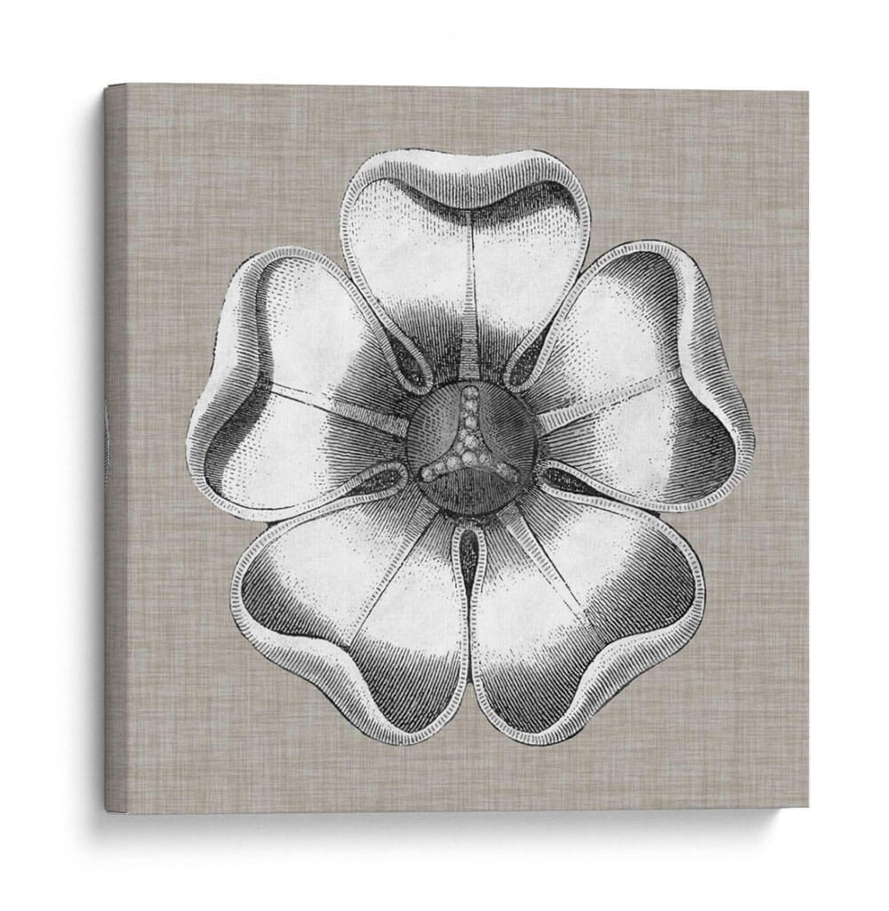 Rosetón Neutro Detalle Vi - Vision Studio | Cuadro decorativo de Canvas Lab