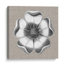 Rosetón Neutro Detalle Vi - Vision Studio | Cuadro decorativo de Canvas Lab